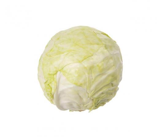 مشخصات کلم سفید سالاد