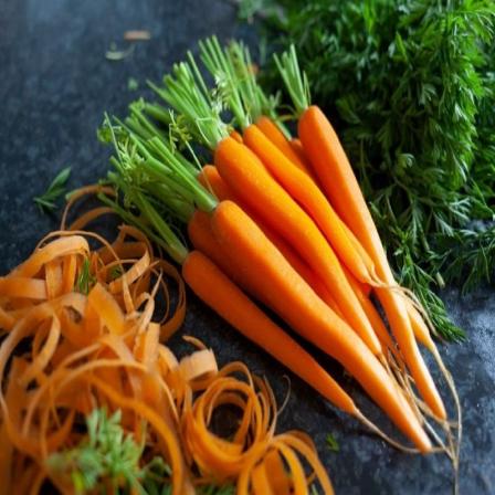 قیمت هویج تازه + خرید و فروش