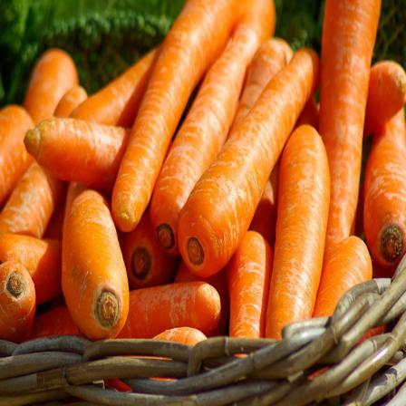 مشخصات هویج تازه