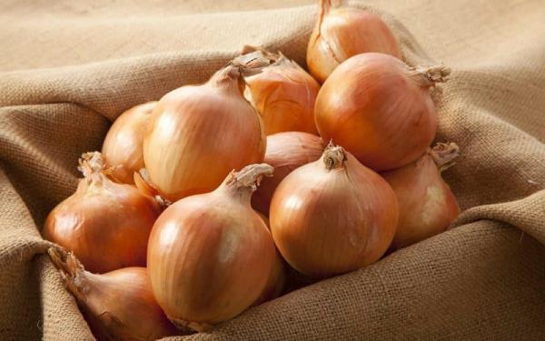 مشخصات پیاز زرد صادراتی