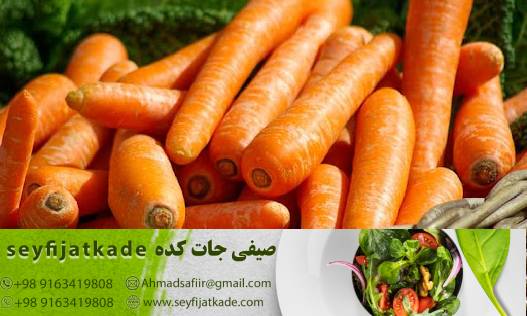 تجارت هویج عمده