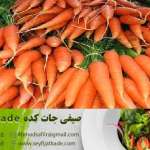 روندها و تغییرات بازار در خرید و فروش هویج به صورت عمده