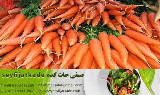 روندها و تغییرات بازار در خرید و فروش هویج به صورت عمده
