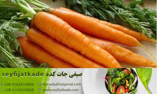 راهکارهای بهینه برای اقتصادی‌ترین خرید هویج در حجم بالا