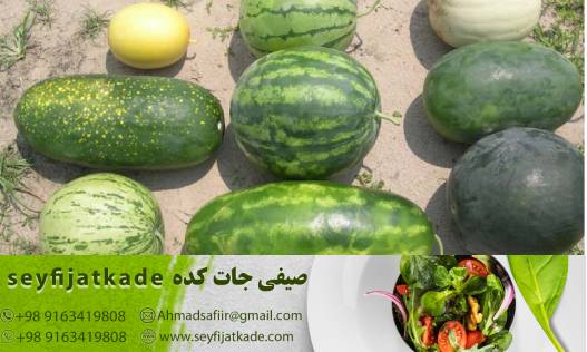 هندوانه عمده: راهی به سوی سلامتی و شادی با هزینههای کمتر