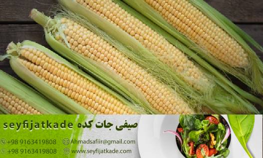 خرید ذرت تازه
