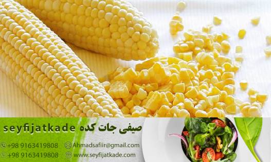 خرید اینترنتی ذرت تازه