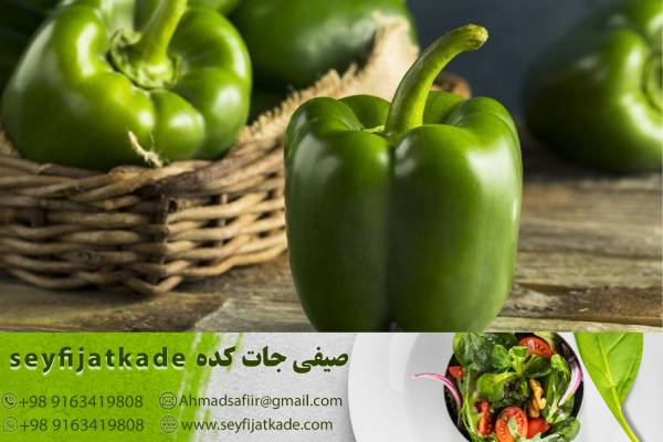 راهبردها و تاکتیک‌های موفق برای تولید و فروش فلفل دلمه