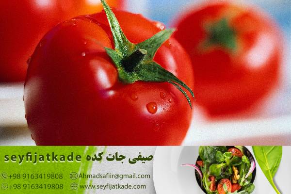 تأمین گوجه فرنگی صادراتی از تولیدکنندگان معتبر