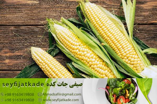 الگوهای فروش ذرت اورگانیک