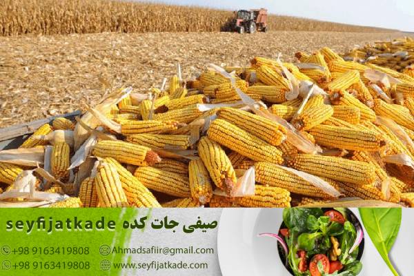 تأثیر تولید ذرت بر تعادل تجارت جهانی