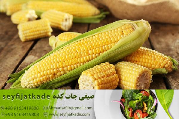 رتبهبندی کشورها در تولید ذرت و صادرات آن