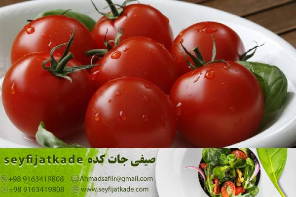  گوجه فرنگی صادراتی با کیفیت بالا