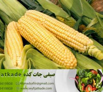 عرضه عمده ذرت منجمدبهترین گزینه برای رستوران ها و فروشگاه های زنجیره ای