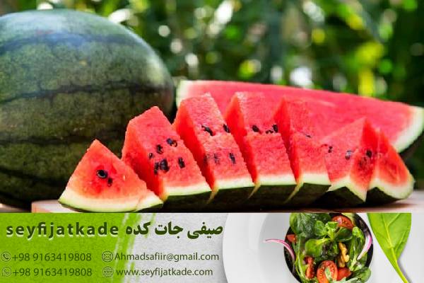 برداشت هندوانه درجه یک از مزارع معتبر