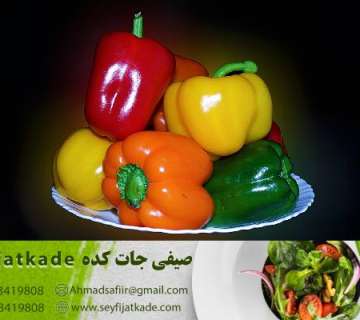 مدیریت مالی و حسابداری در کسب و کار تولید و فروش فلفل دلمه