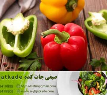 بهترین دما و رطوبت برای فرآیند رشد فلفل دلمه ای