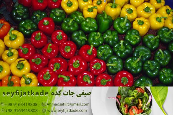 بازاریابی و تبلیغات در صنعت فروش فلفل دلمه