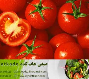 خرید گوجه فرنگی برای صادرات به کشورهای همسایه