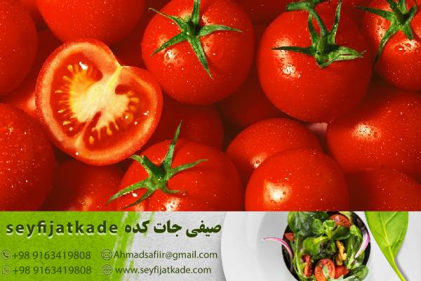 خرید گوجه فرنگی برای صادرات به کشورهای همسایه