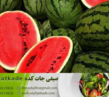 عرضه هندوانه با طعم بینظیر و رنگ جذاب
