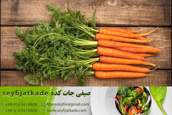 سلامت و اعتماد: تولیدکننده هویج صادرات با ارائه محصولات سالم و قابل اطمینان