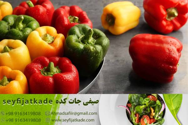 تحلیل رقابتی و استراتژی‌های بازار برای فروش فلفل دلمه