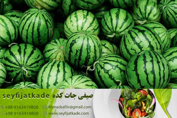 تولید هندوانه با کیفیت عالی