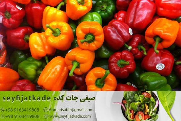 تأمین مواد اولیه و مدیریت زنجیره تأمین در تولید فلفل دلمه