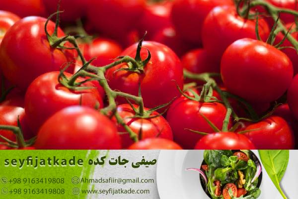 انتخاب گلخانه‌های مدرن