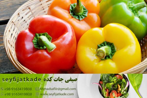 شرایط ایده‌آل آبیاری برای تولید فلفل دلمه ای