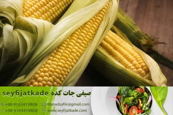 بازار فروش ذرت اورگانیک