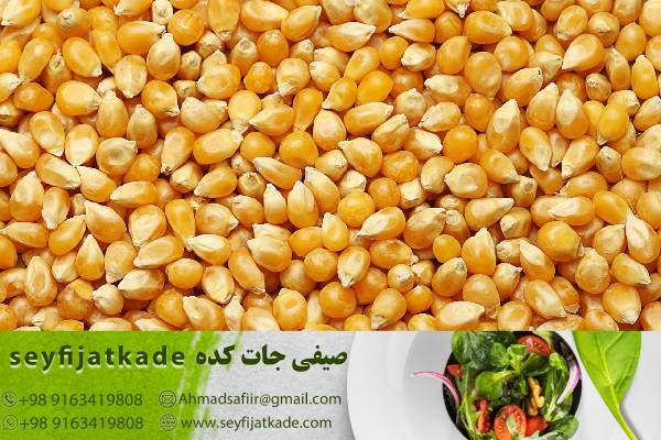 فروش ذرت با کیفیت و قیمت عادلانه: ما به مشتریان اعتماد می‌کنیم