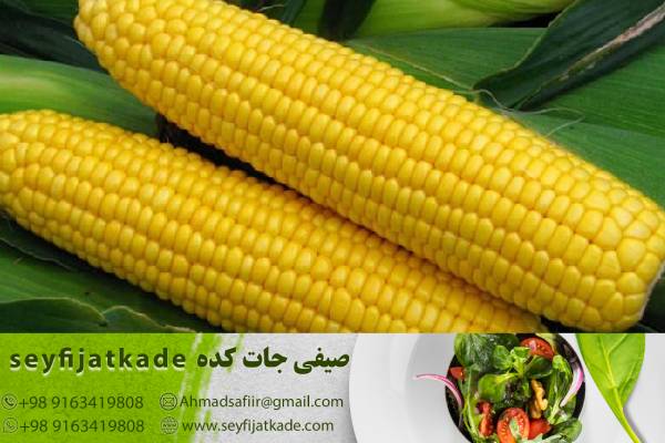 روش‌های تولید ذرت اورگانیک