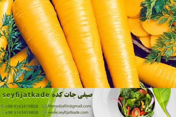 شادی در هر دانه: تولد هویج درجه یک به عنوان منبع شادی و انرژی