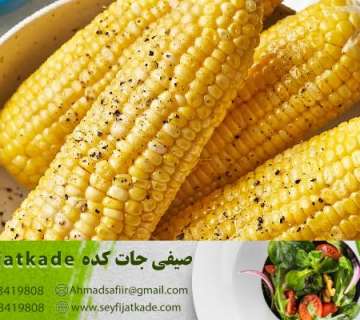 تولید و فروش ذرت اورگانیک