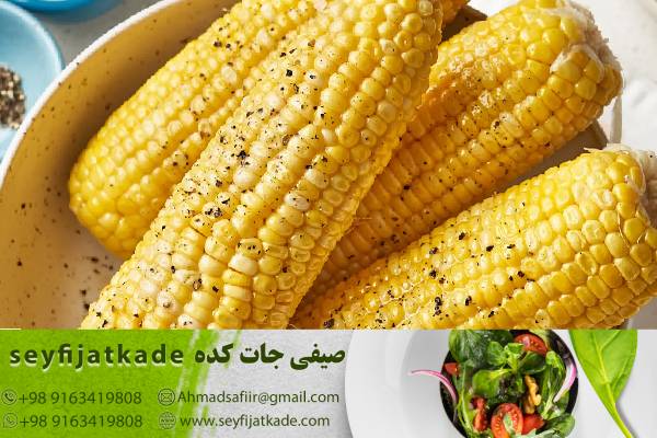 تولید و فروش ذرت اورگانیک