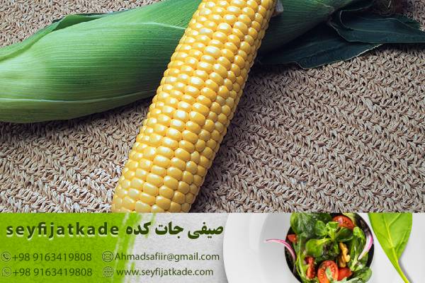 مزایای مصرف ذرت اورگانیک