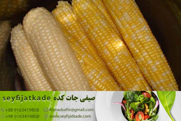 چشمانداز صادرات ذرت در بازارهای بینالمللی