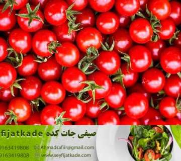 عرضه گوجه فرنگی برای تعادل در قیمت