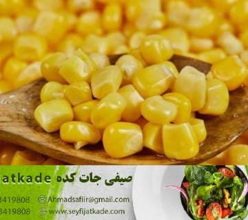 خرید و قیمت ذرت تازه یک کیلویی