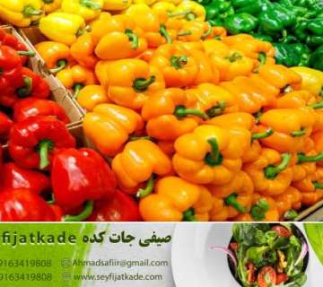 عرضه بهترین فلفل دلمه خوراکی