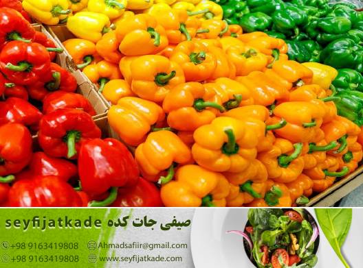 عرضه بهترین فلفل دلمه خوراکی