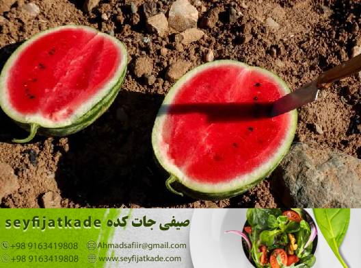 تازگی و ترشح شیرین در هندوانه قرمز
