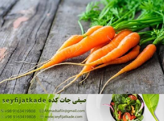 عرضه هندوانه مرغوب مصرفی