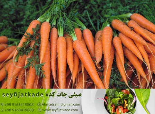 آفرین به طبیعت: هویج تازه و شیرین، نوازنده حسای لذت بخش