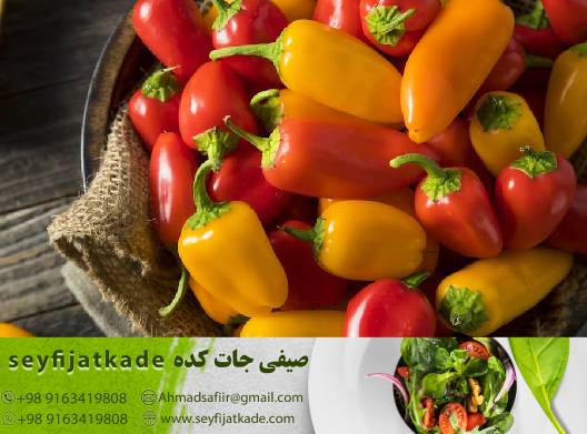 سریع و کارآمد