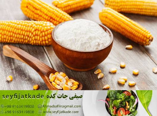 سفری به دنیای طعم و تازگی