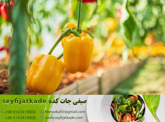 اهمیت انتخاب بر اساس کاربرد