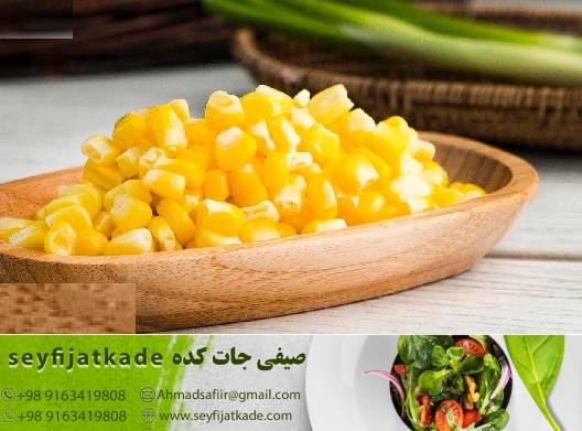 پخش عمده ذرت منجمدبا تضمین تازگی و کیفیت برتر